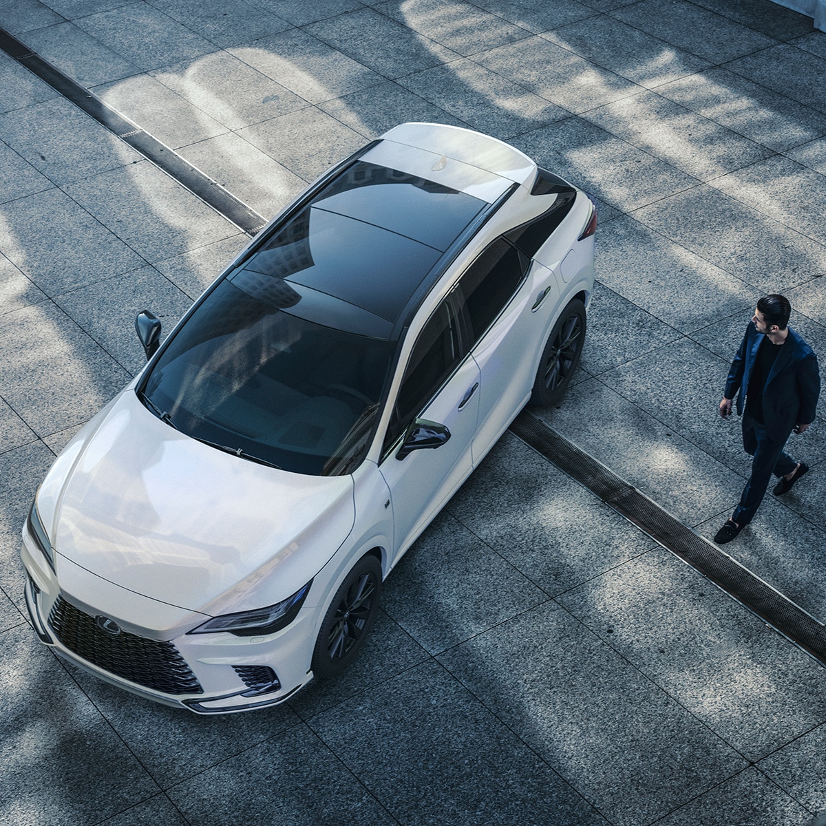 RX 500h F SPORT Performance