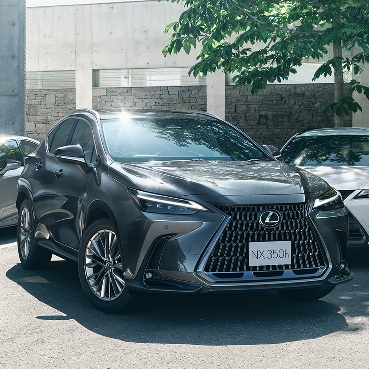 NX 350h