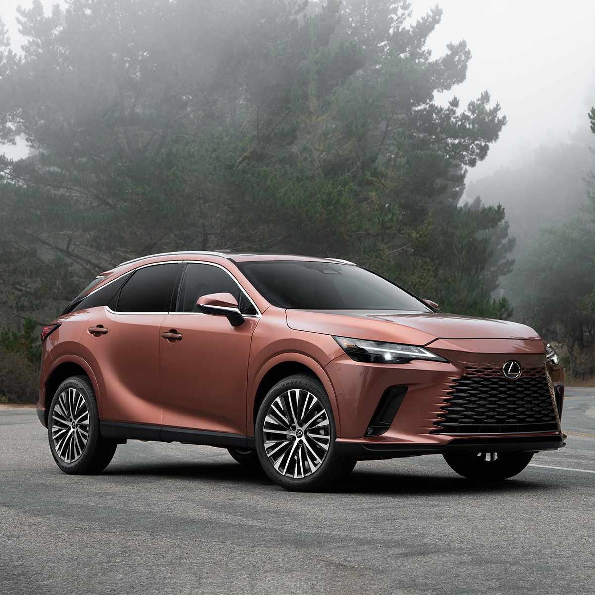 RX 350 Premium
